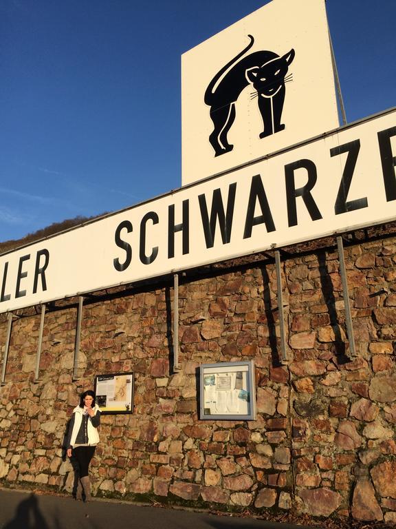 Gaestehaus Am Roemerbad Zell an der Mosel Exteriér fotografie